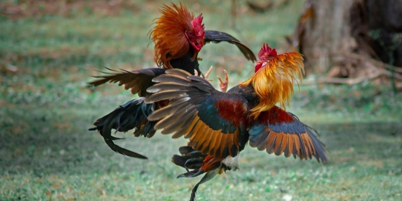 Kinh nghiệm không thể bỏ qua
