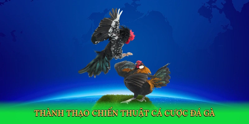 thanh-thao-chien-thuat-ca-cuoc-da-ga-4