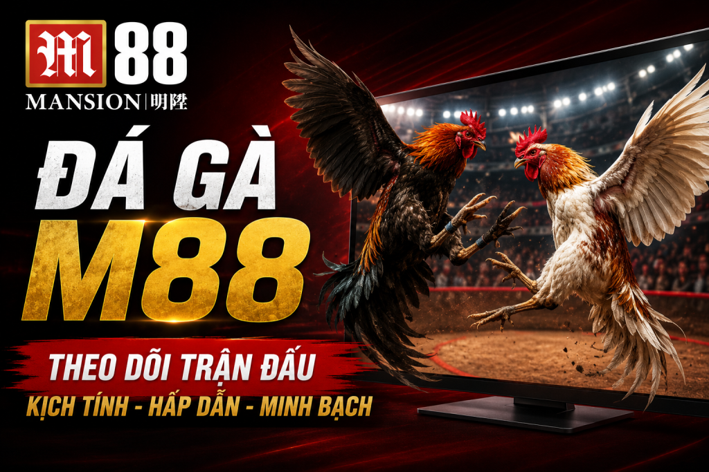 Đá Gà M88 với các trận đấu được cập nhật trực tiếp